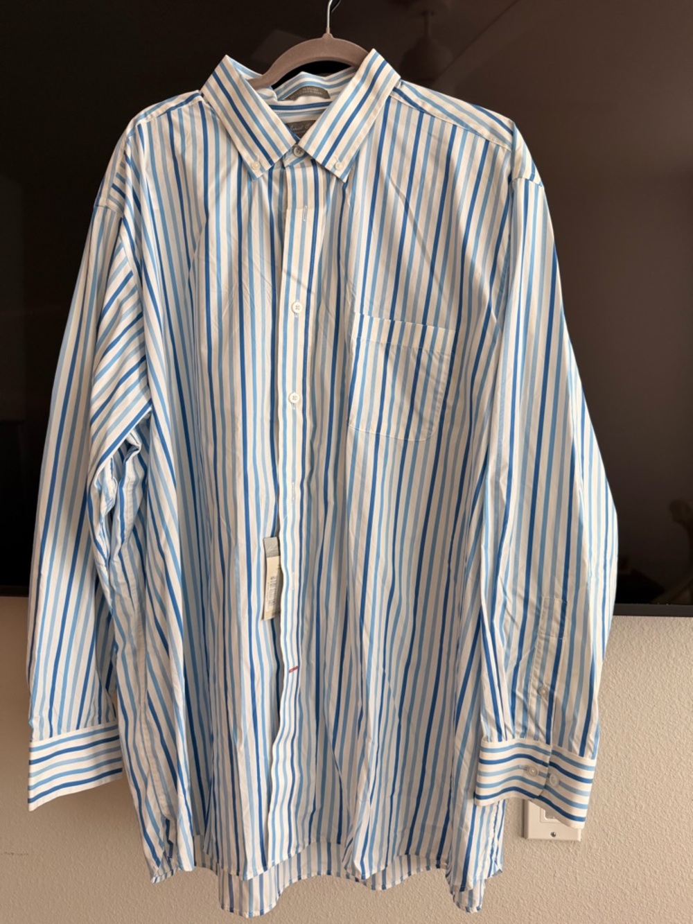 Daniel Cremieux Blue and White Striped Button-Down Shirt